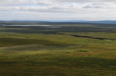Norsk arktisk tundra trues av klimaendringer